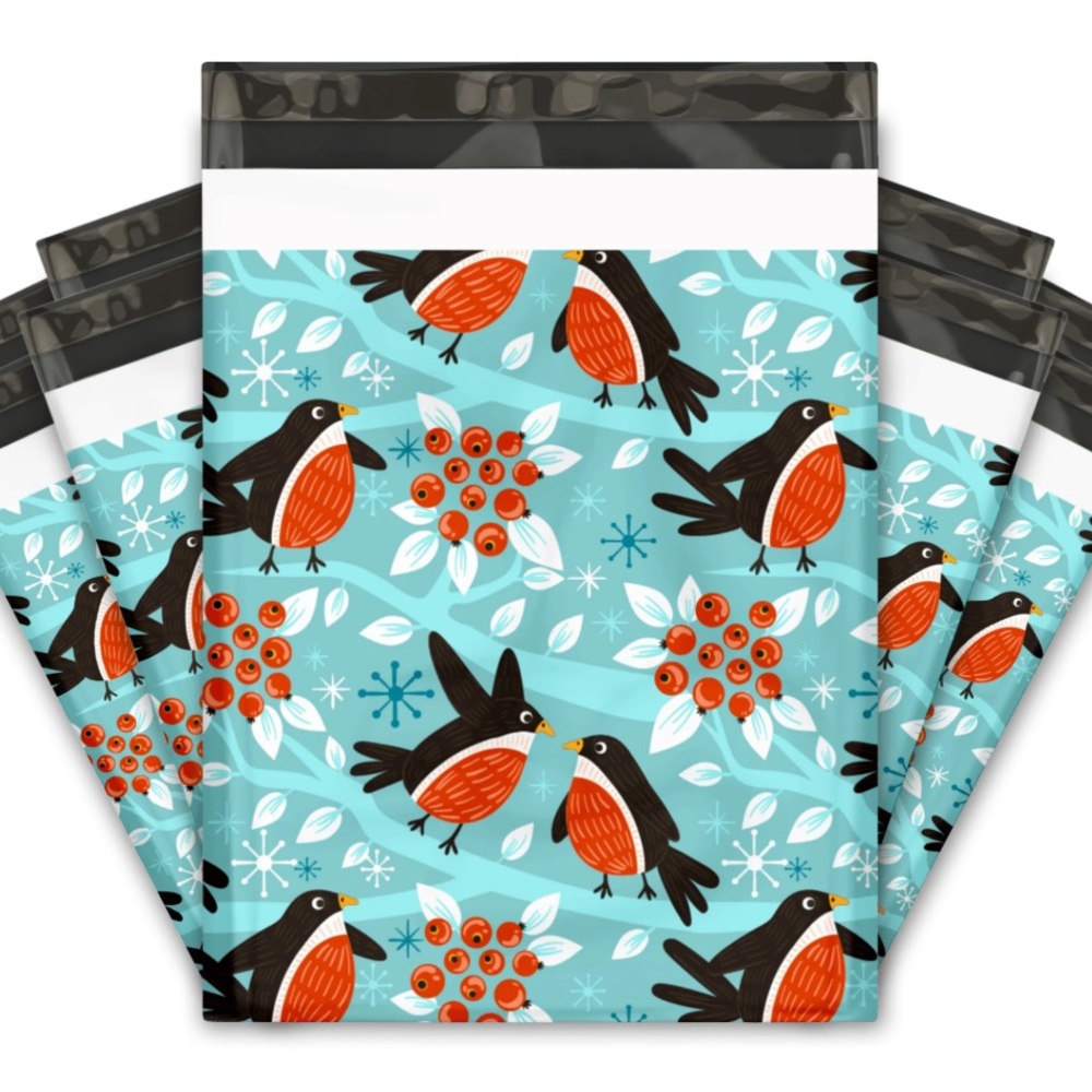 4 SETS LEFT 🐦 20 Birds & Berries Poly Mailers 10 x 13 inch